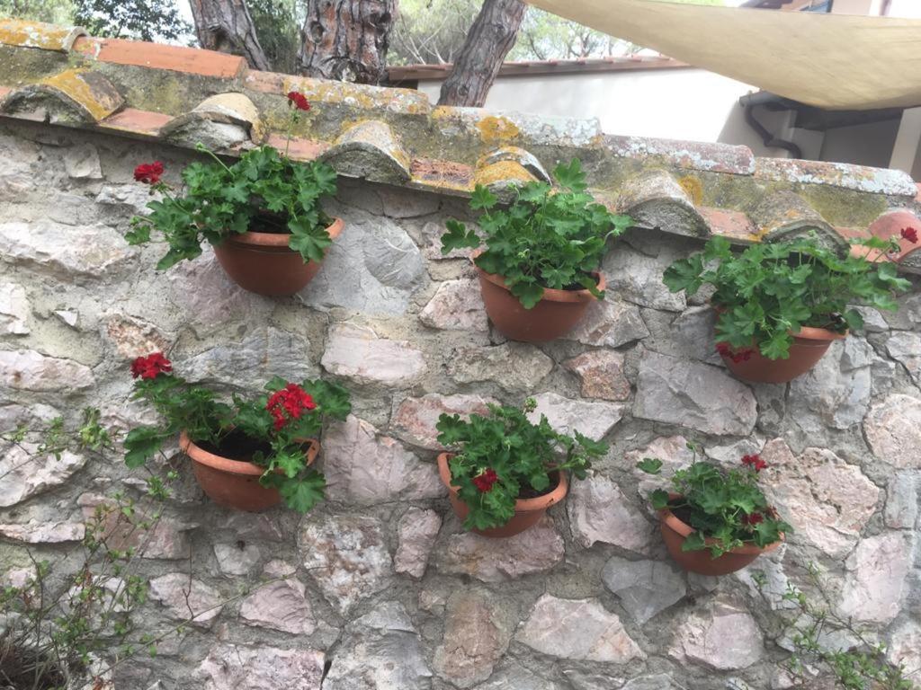 Tenuta Le Marze Кастильоне-делла-Пеская Экстерьер фото